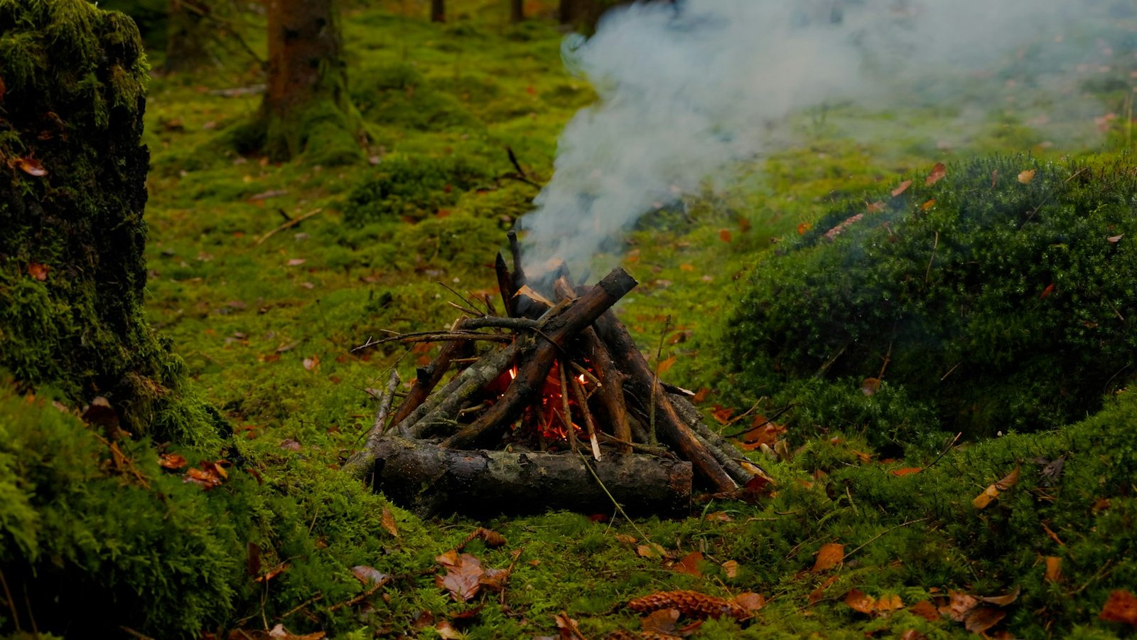 Participante encendiendo fuego con técnicas tradicionales en un bosque al atardecer