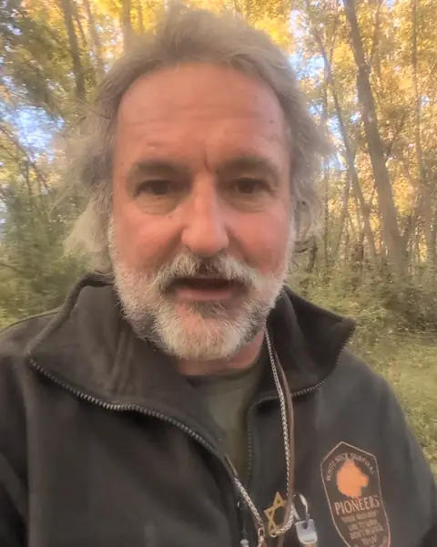 Lobo en el campamento del bosque, entre álamos